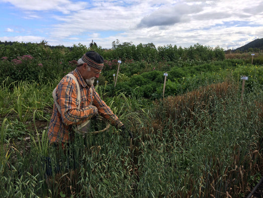 Northwest Herb Farms