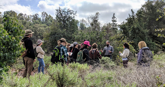 Herb Schools in the Pacific Northwest