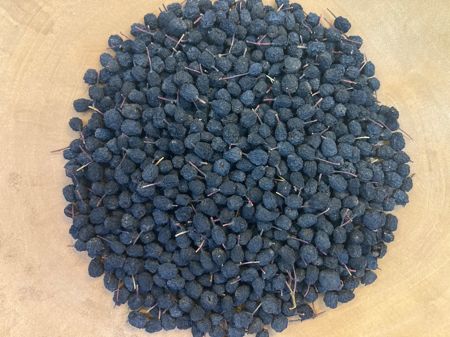 Aronia Berry (Aronia melanocarpa)