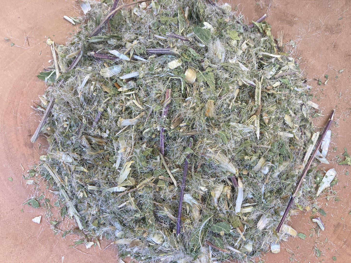 Blessed Thistle (Cnicus benedictus)