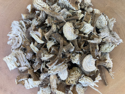 Poke root (Phytolacca americana)