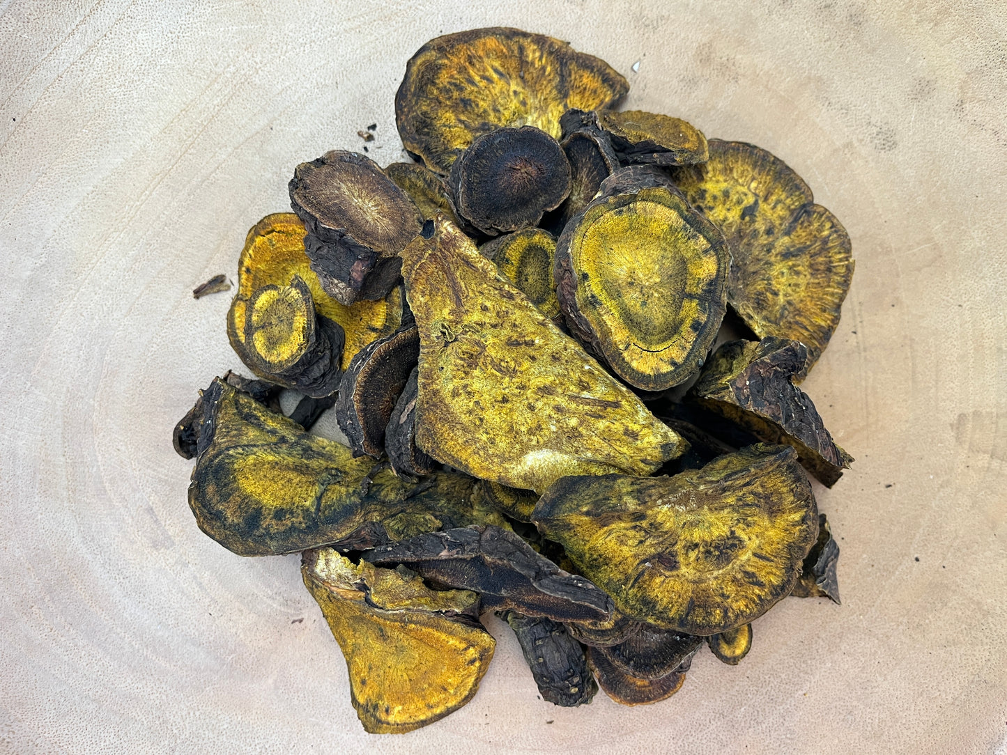 Turkey Rhubarb (Rheum palmatum tanguticum)