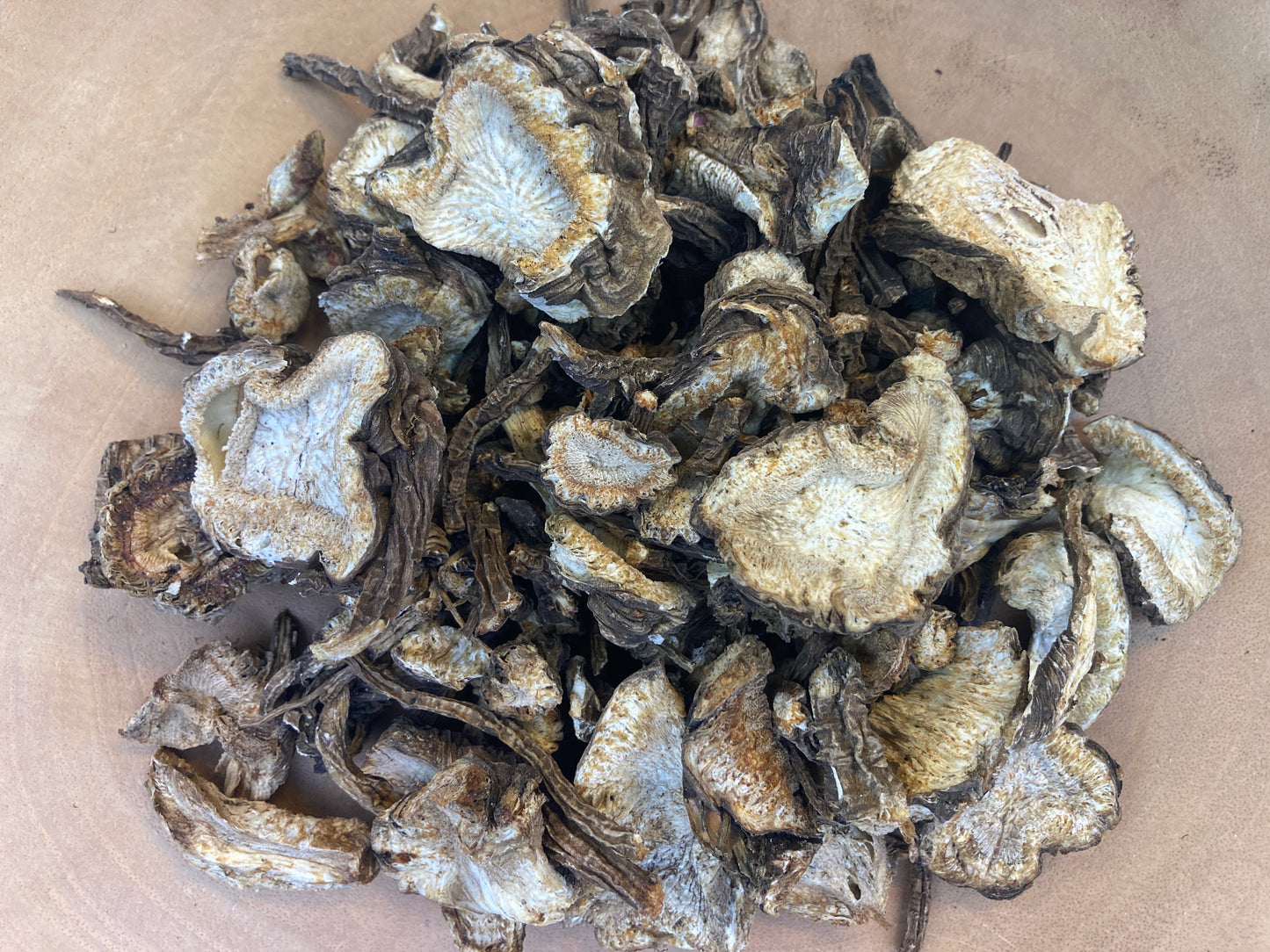 Angelica (Angelica archangelic)