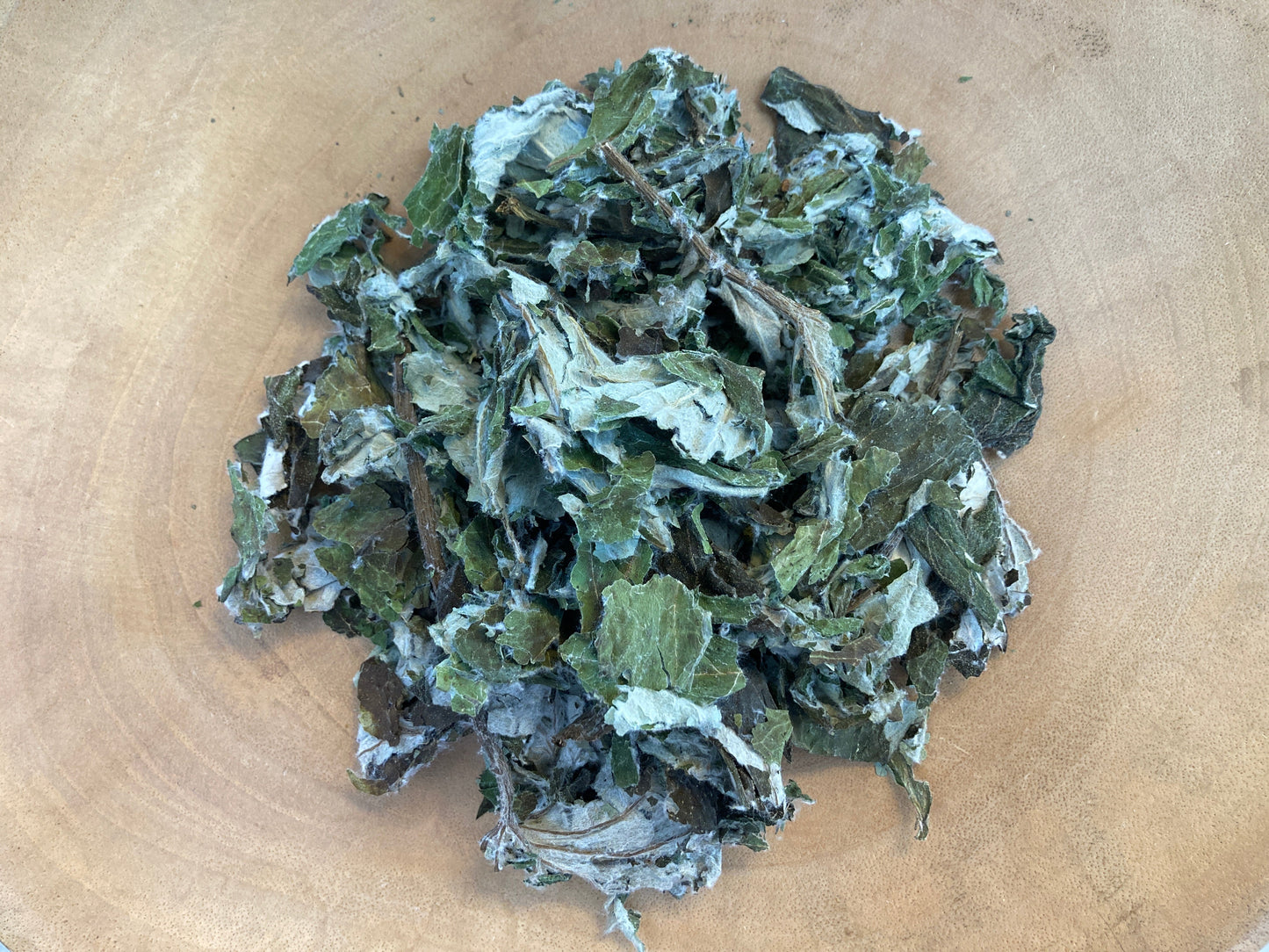 Butterbur (Petasites palmatus)