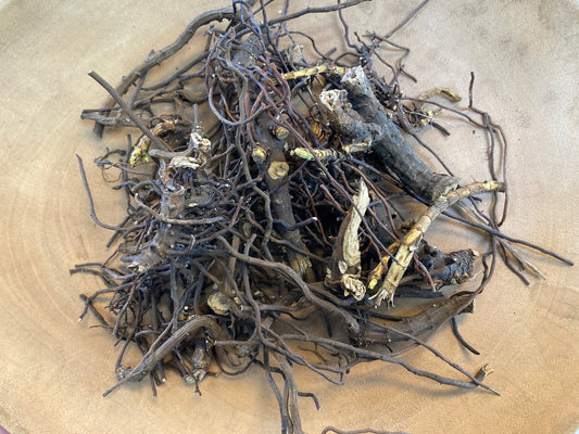 Black/Culver’s Root (Veronicastrum virginim)