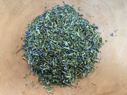 Moldavian Dragon’s Head (Dracocephalum moldavica)