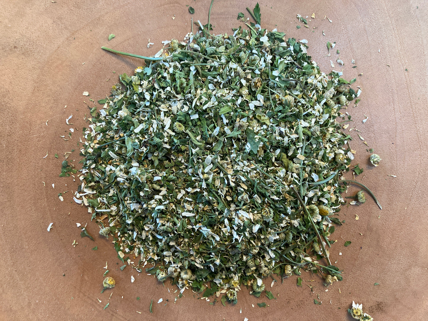 Feverfew (Tanacetum parthenium)