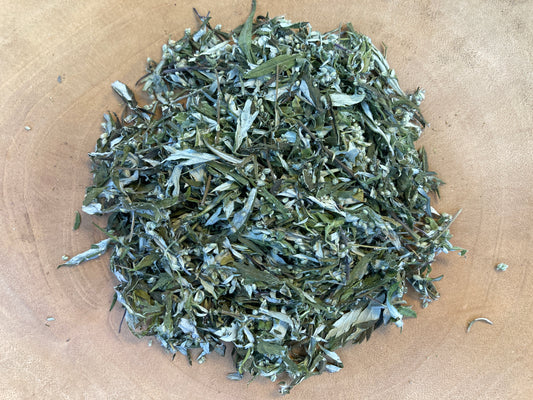 Mugwort (Artemisia vulgaris)