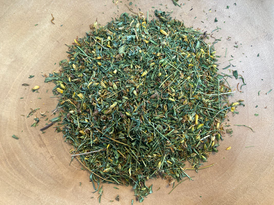 St. John’s Wort (Hypericum perforatum)
