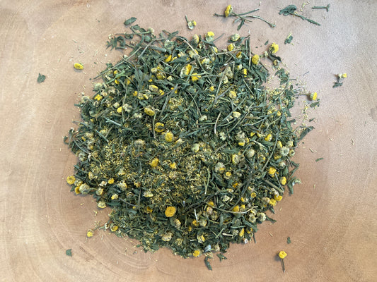 Tansey (Tanacetum vulgare)