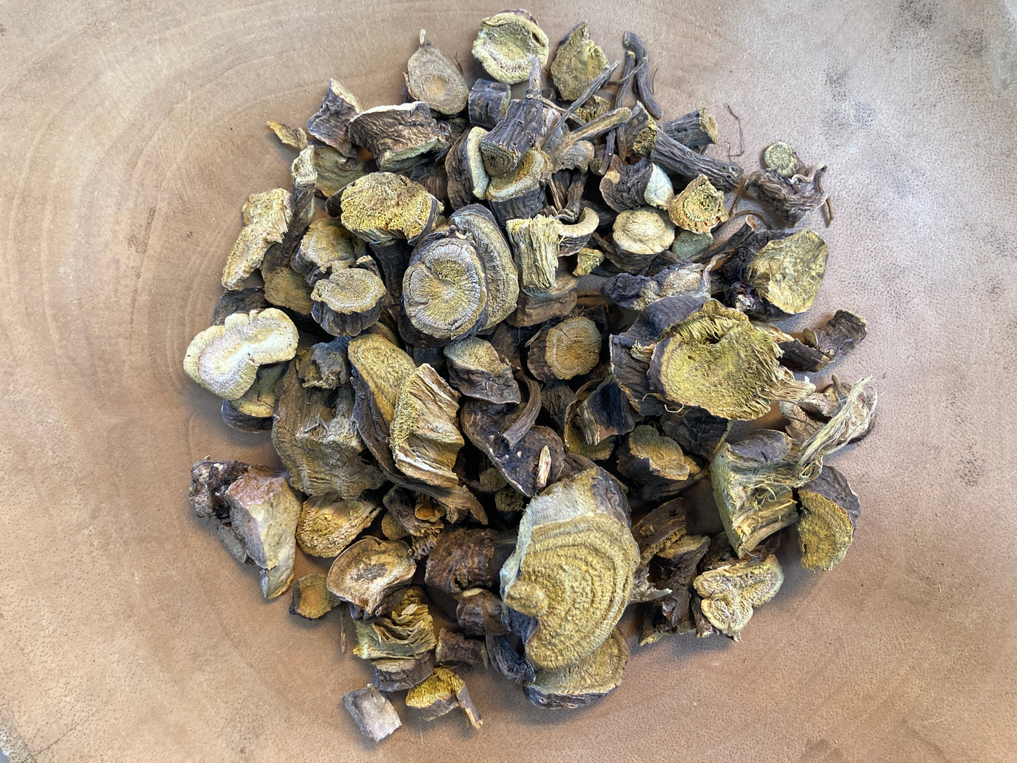 Yellow Dock (Rumex crispus)