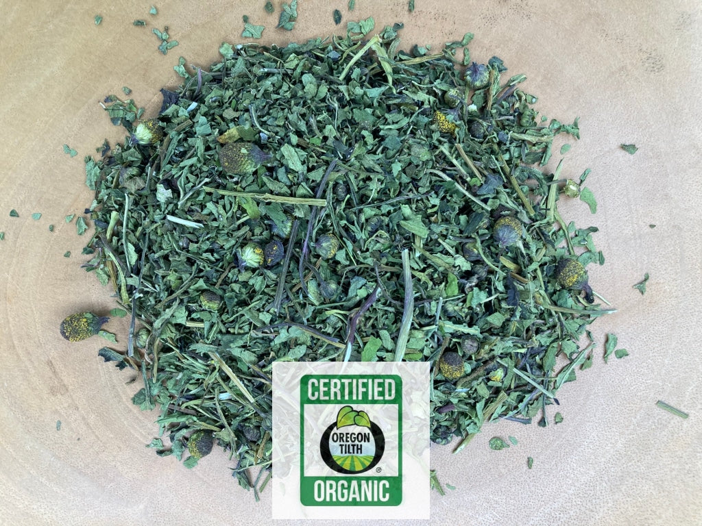 Spilanthes (Spilanthes acmella)