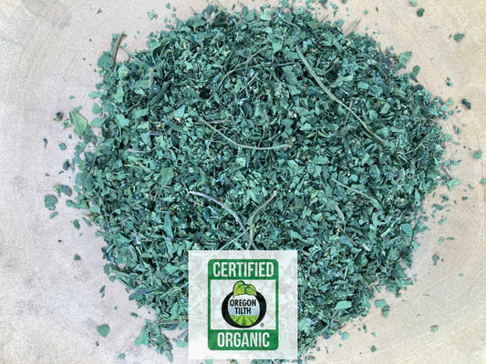 Pellitory-of-the-wall (Parietaria judaica)