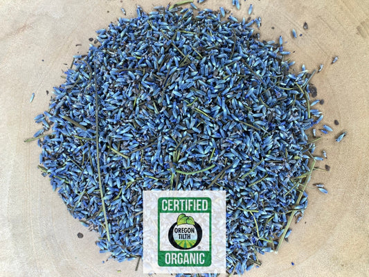 Lavender (Lavandula angustifolia)