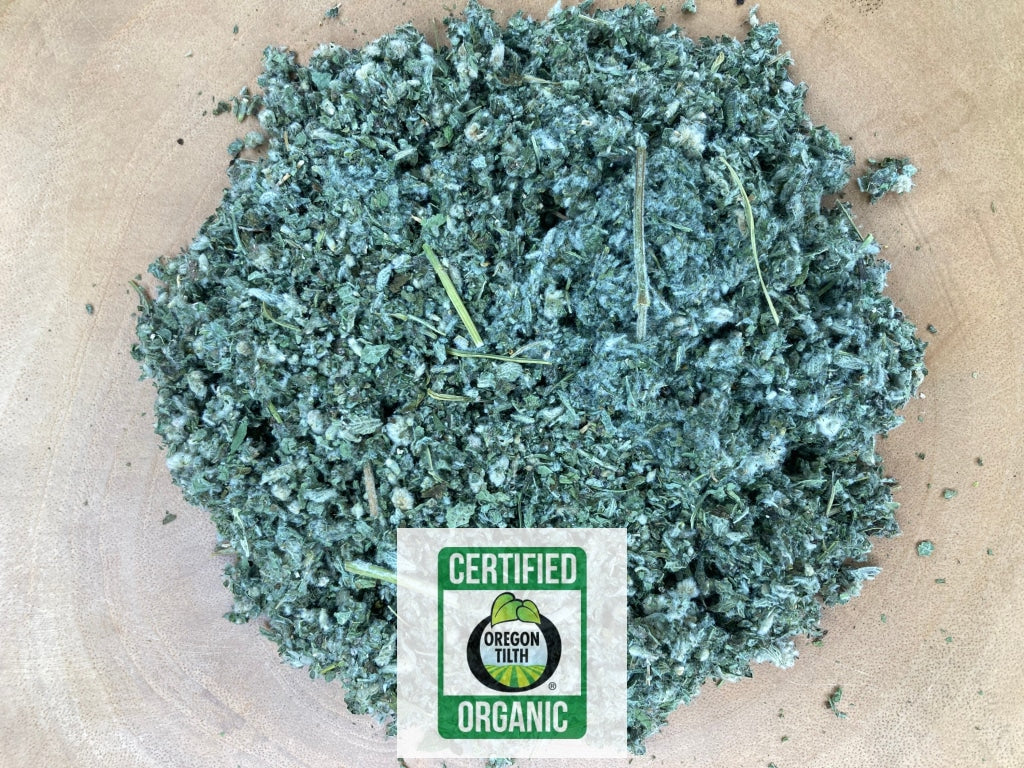 Horehound (Marrubium vulgare)