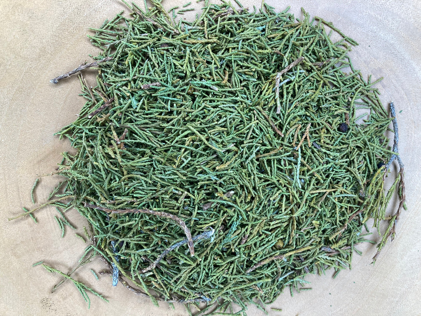 Juniper (Juniperus spp.)