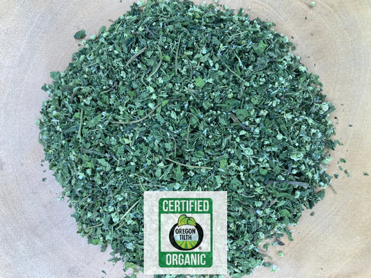 Boneset (Eupatorium perfoliatum)