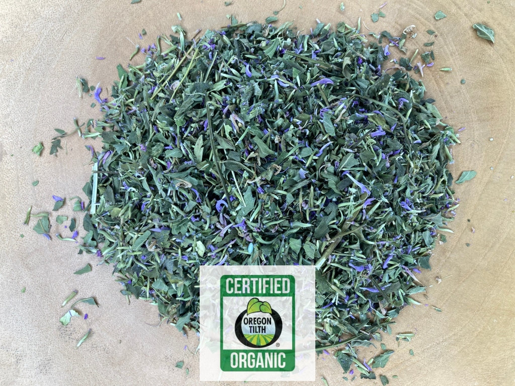 Sweet Bergamot (Mondarda fistulosa)