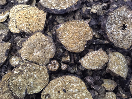 Lomatium (Lomatium dissectum)