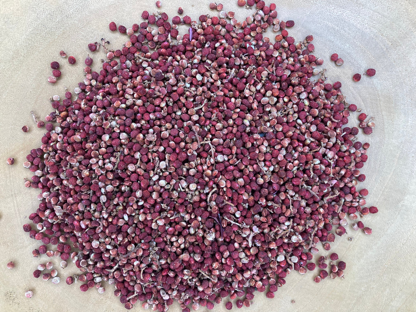 Sumac (Rhus glabra)