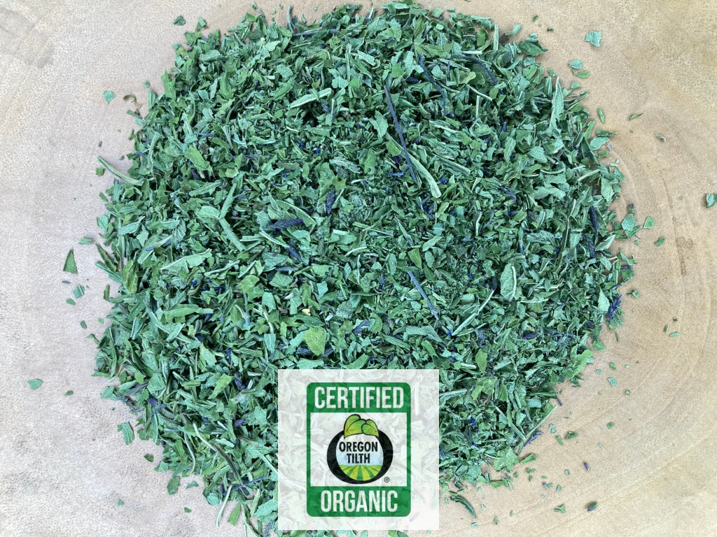 Blue Vervain (Verbena hastata)