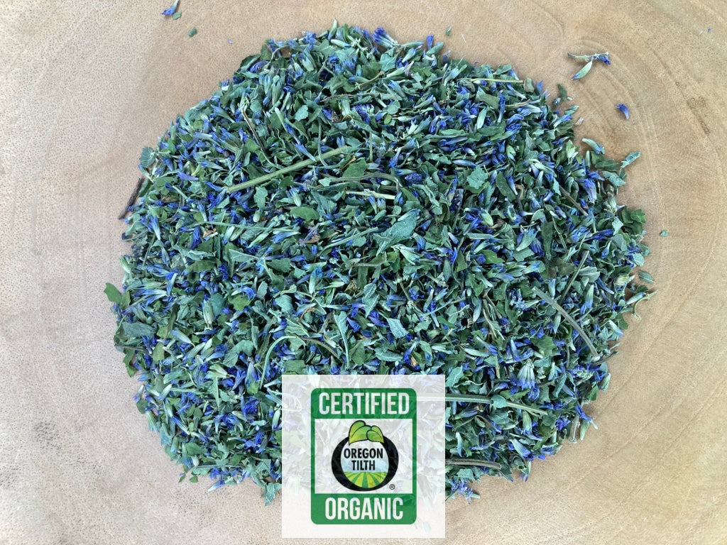 Anise-hyssop (Agastache foeniculum)