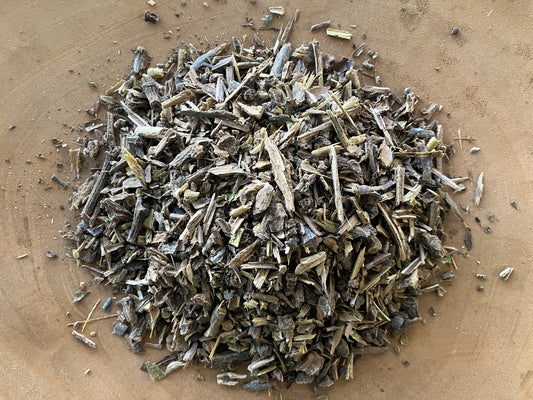 Cottonwood Twigs (Populus trichocarpa)