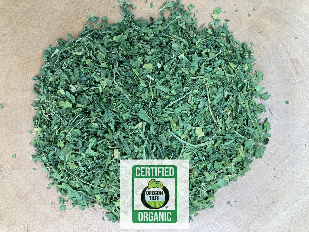 Epazote (Chenopodium ambrosioides)