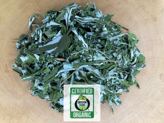 Mugwort - Coastal (Artemisia suksdorfii)