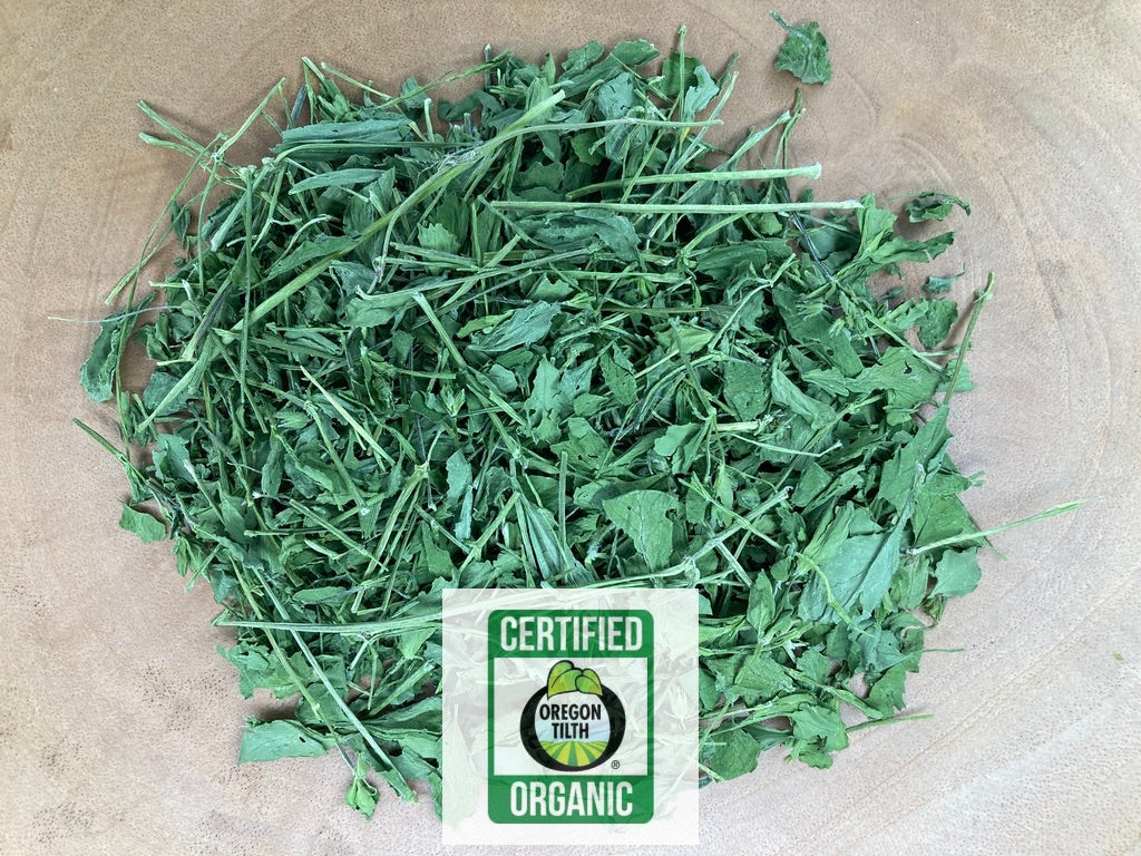 Chickweed (Stellaria media)