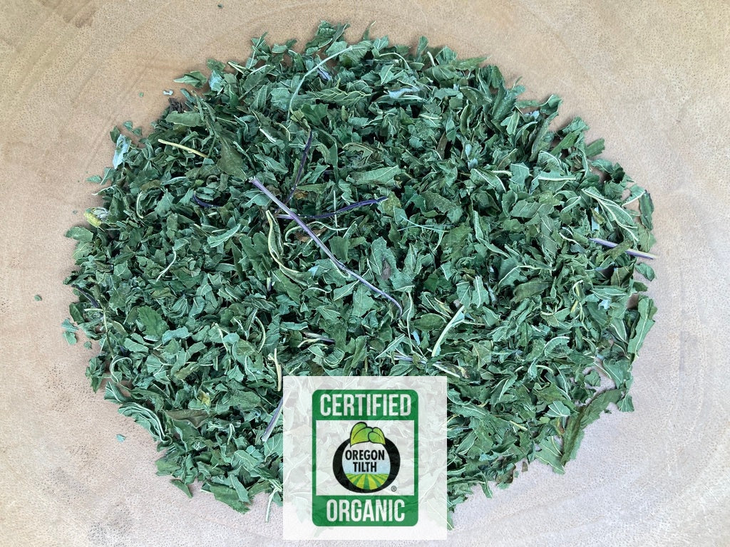 Meadowsweet (Filipendula ulmaria)