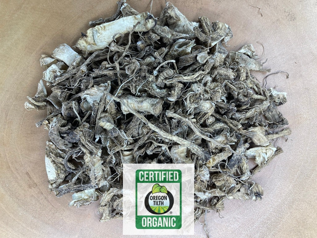 Teasel (Dipsacus fullonum)