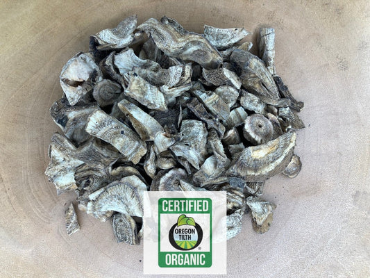 Elecampane (Inula helenium)