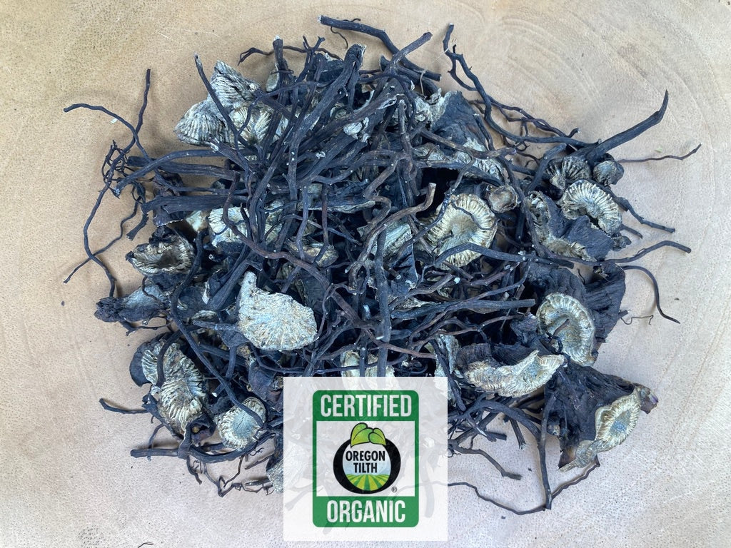 Black Cohosh (Cimicifuga racemosa)