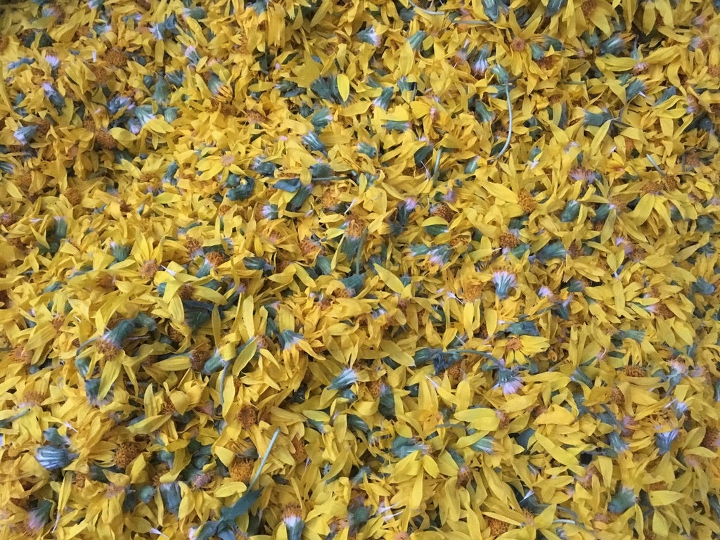 Arnica - Heartleaf (Arnica cordifolia)