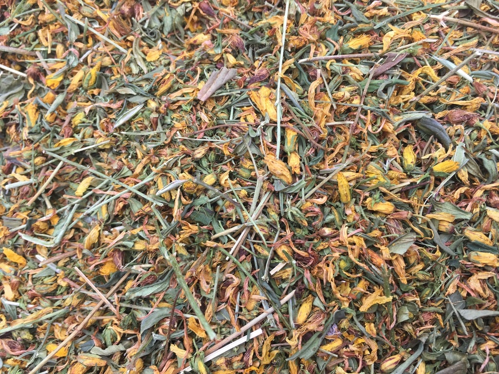 St. John’s Wort (Hypericum perforatum)