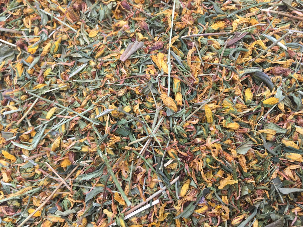 St. John’s Wort (Hypericum perforatum)