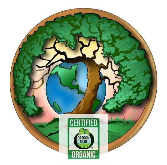 Amur Corktree Huang Ho (Phellodendron Amurense) Wildcrafted