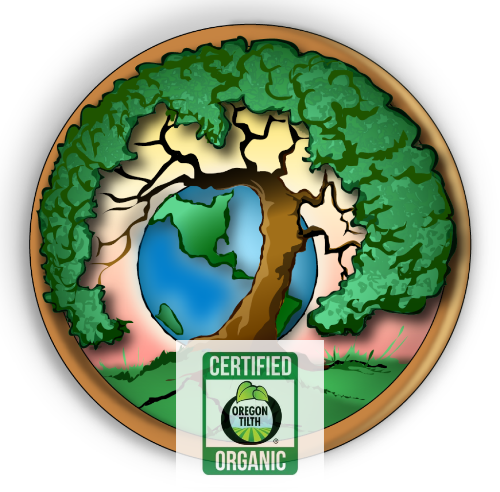 Blessed Thistle (Cnicus benedictus)