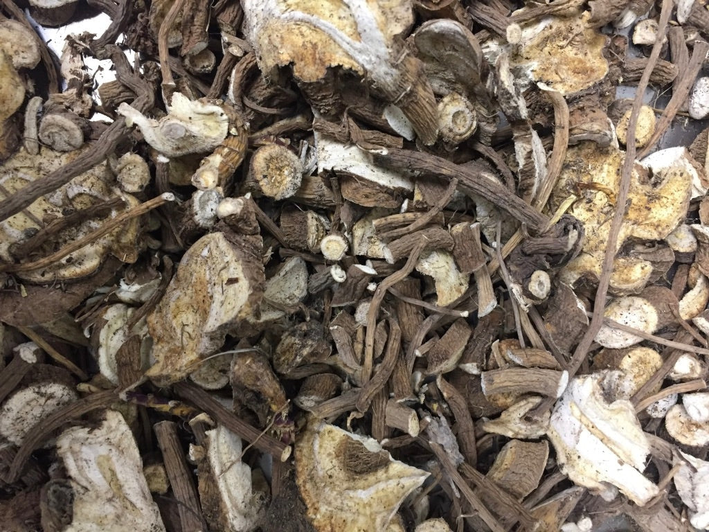 Marshmallow (Althaea officinalis)