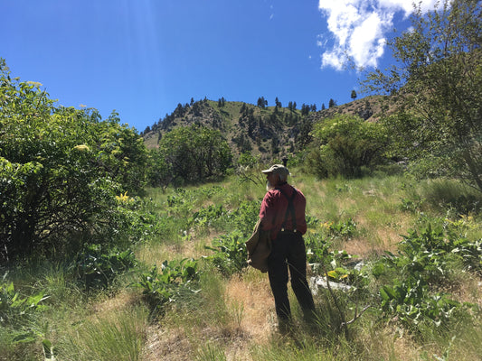 Edible Native Fruits of the PNW Presentation Video by Michael Pilarski "Skeeter"