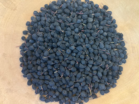 Aronia Berry (Aronia melanocarpa)