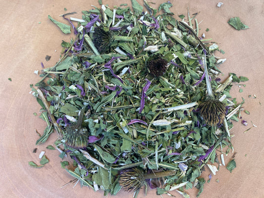 Echinacea (Echinacea purpurea)