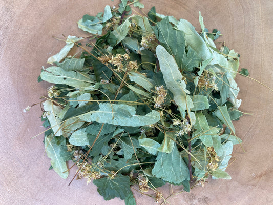 Linden, Little-leaf (Tilia cordata)