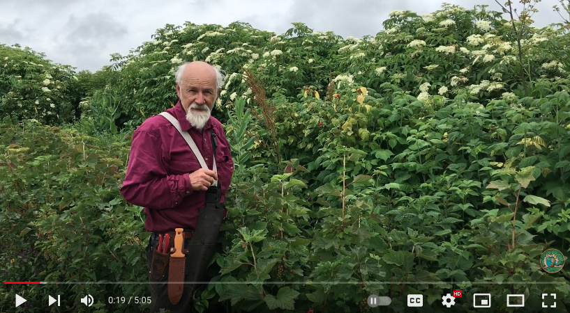 Load video: 