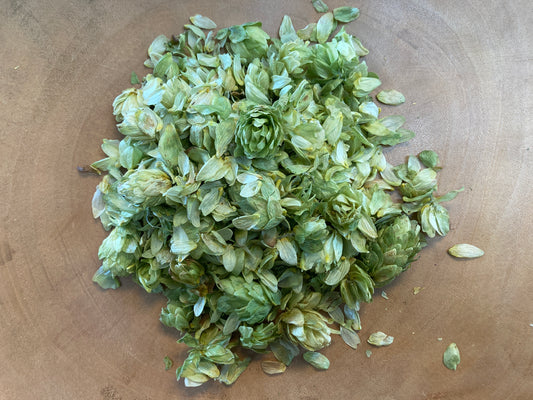 Hops (Humulus lupulus)