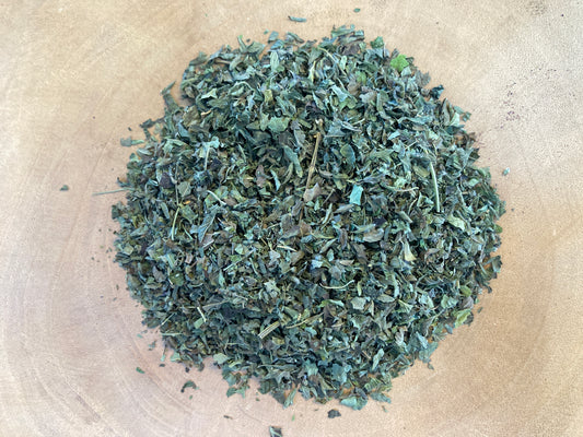 Lemon Balm (Melissa officinalis)