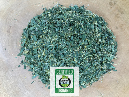 Goldenrod (Solidago canadensis)