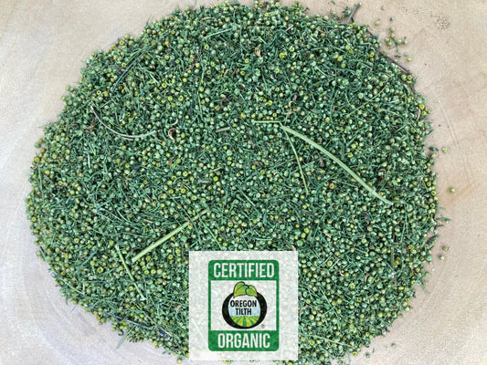 Sweet Annie (Artemisia annua)