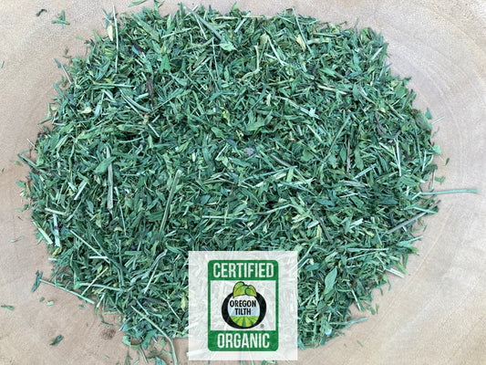 Goat's Rue  (Galega officinalis)